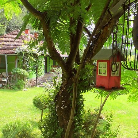 Etno-Kuca "Leka" Klisura Villa Despotovac Ngoại thất bức ảnh