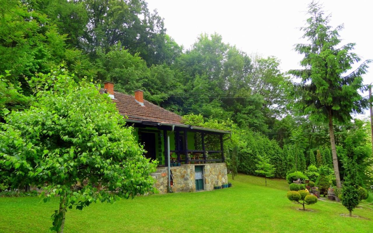 Etno-Kuca "Leka" Klisura Villa Despotovac Ngoại thất bức ảnh
