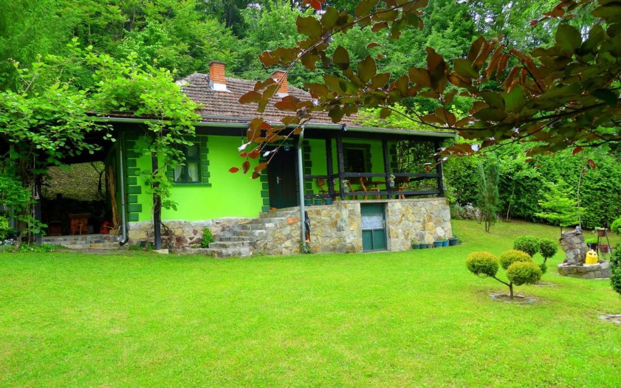 Etno-Kuca "Leka" Klisura Villa Despotovac Ngoại thất bức ảnh