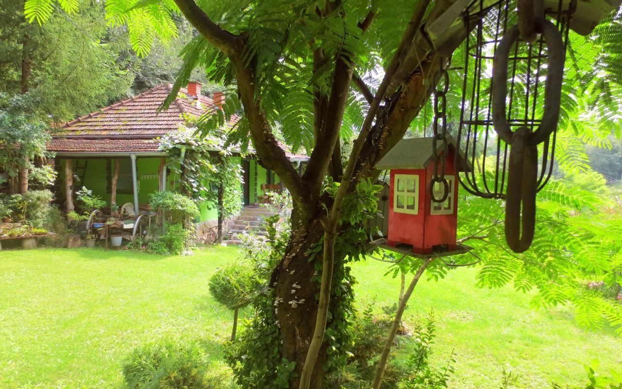 Etno-Kuca "Leka" Klisura Villa Despotovac Ngoại thất bức ảnh