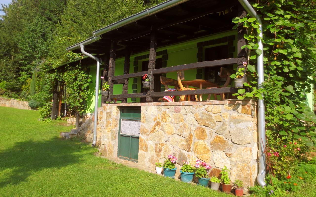 Etno-Kuca "Leka" Klisura Villa Despotovac Ngoại thất bức ảnh