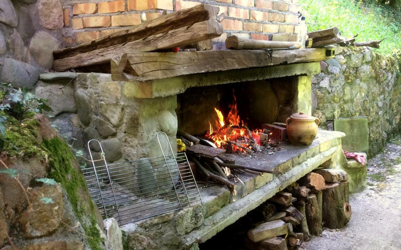 Etno-Kuca "Leka" Klisura Villa Despotovac Ngoại thất bức ảnh