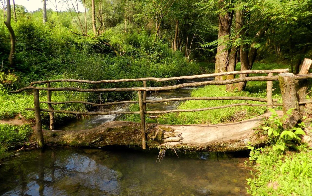 Etno-Kuca "Leka" Klisura Villa Despotovac Ngoại thất bức ảnh